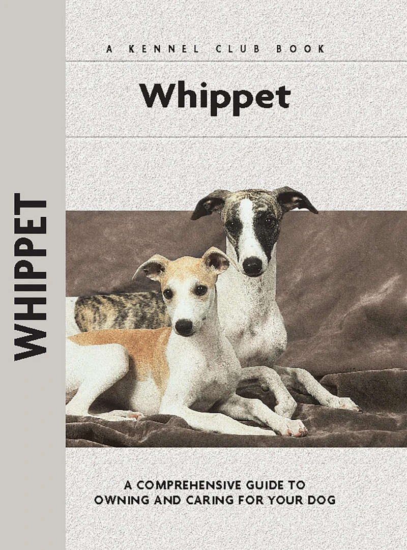 Portada: Whippet