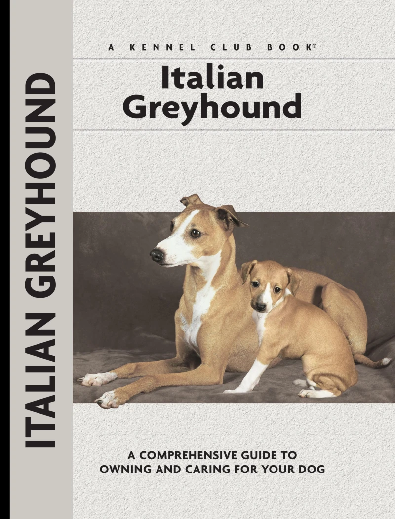 Portada: Italian Greyhound