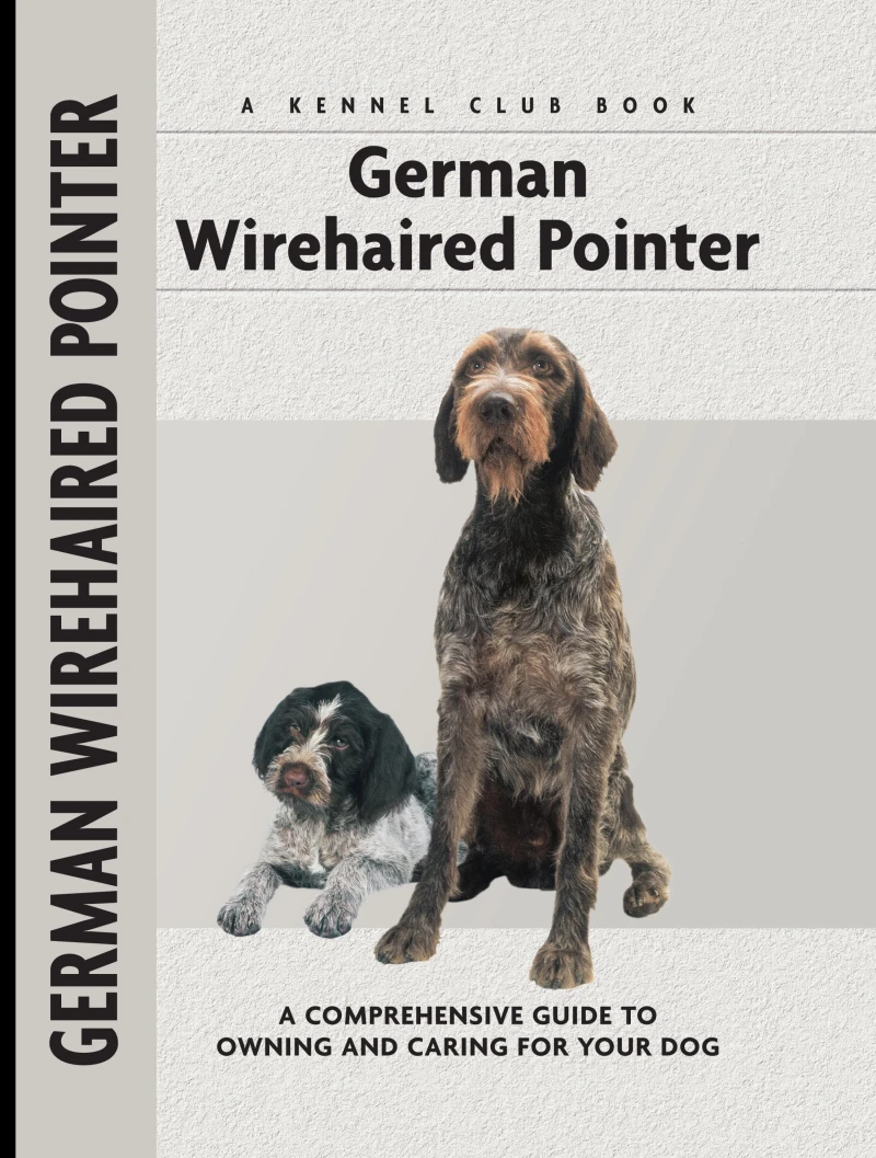 Portada: German Wirehaired Pointer