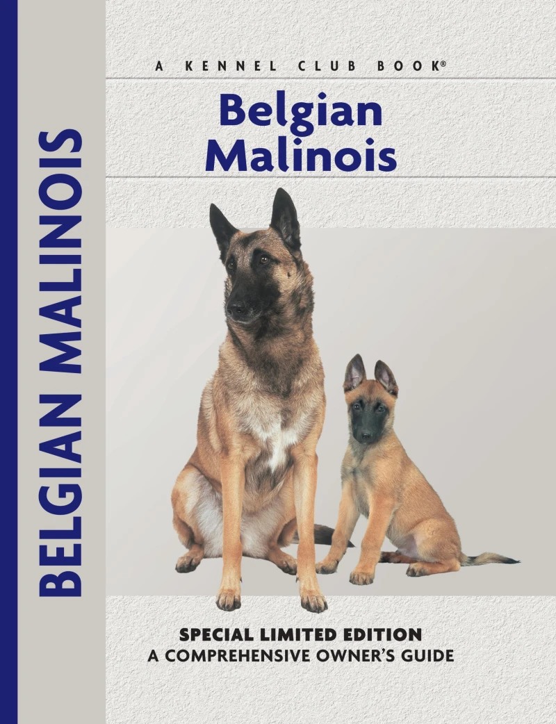 Portada: Belgian Malinois