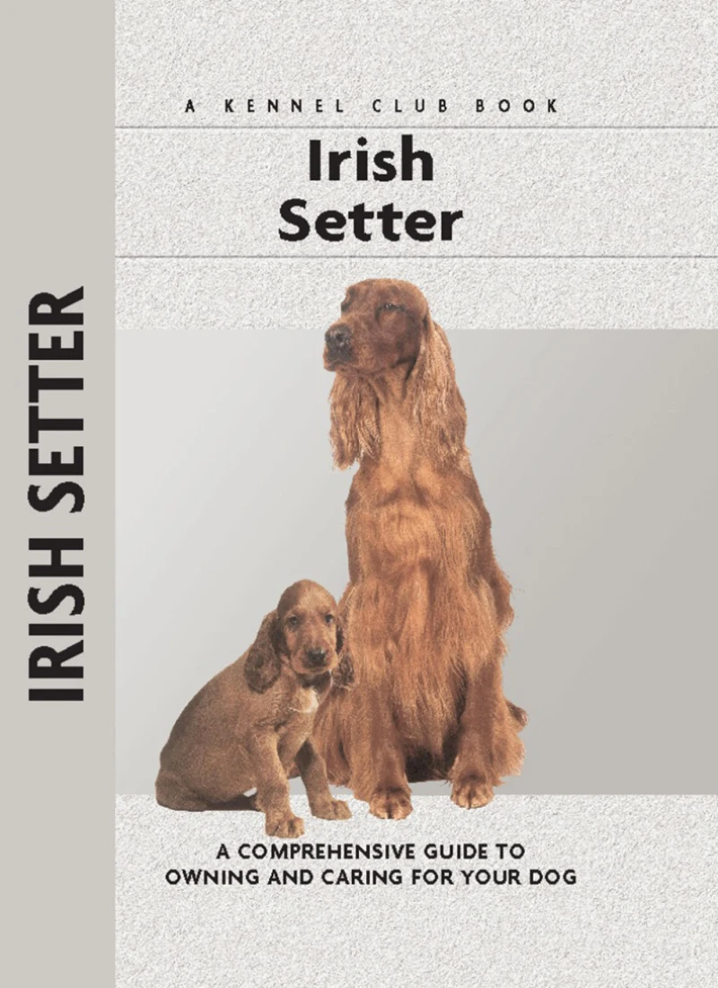 Portada: Irish Setter