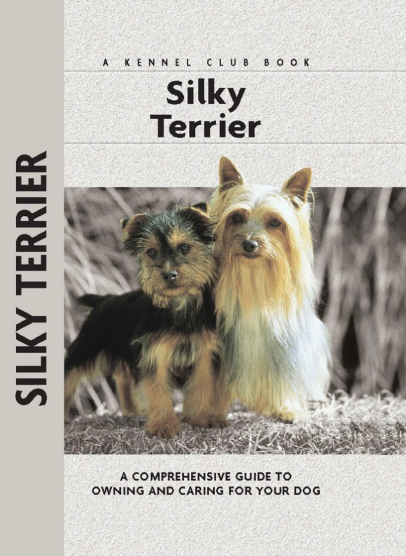 Portada: Silky Terrier