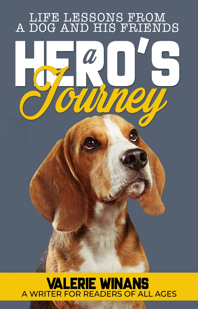 Portada: A Hero's Journey