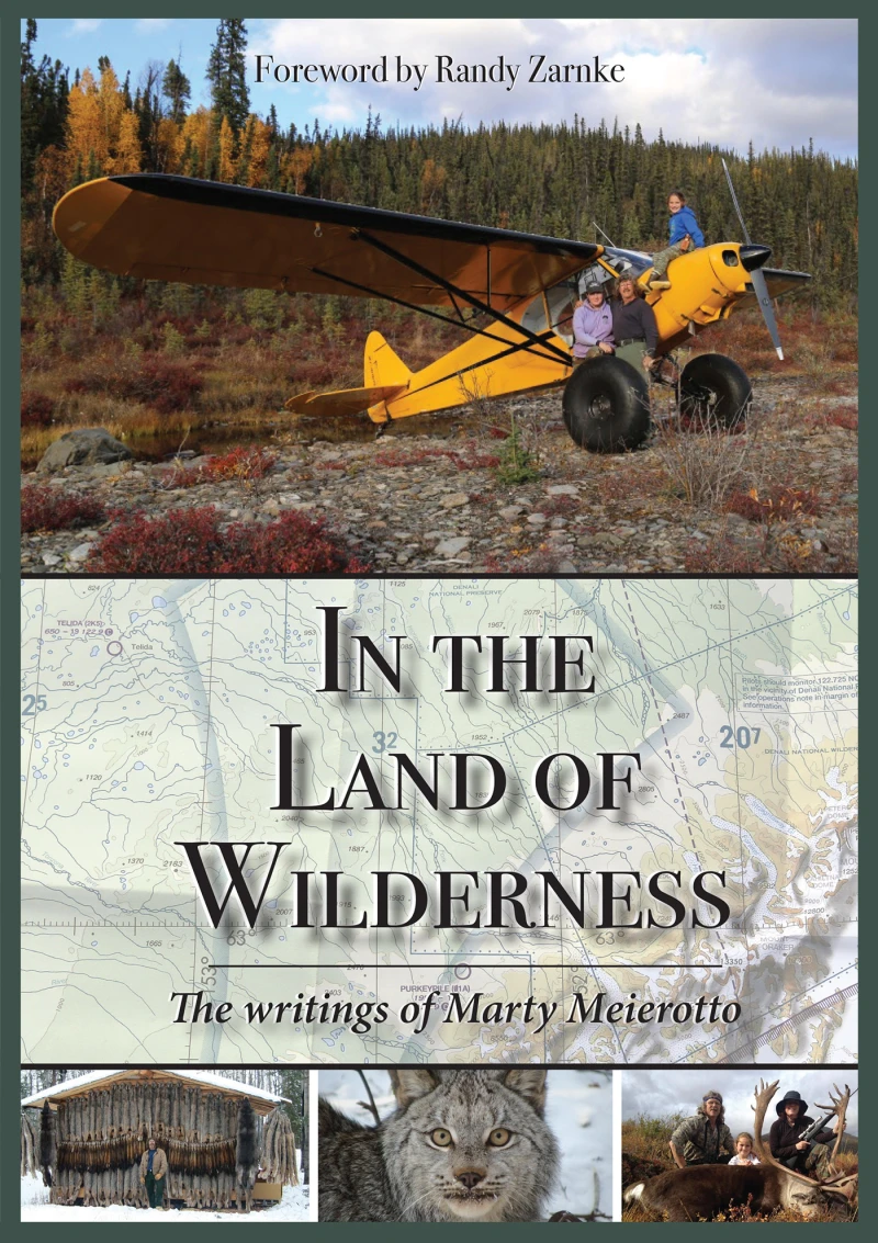 Portada: In the Land of Wilderness