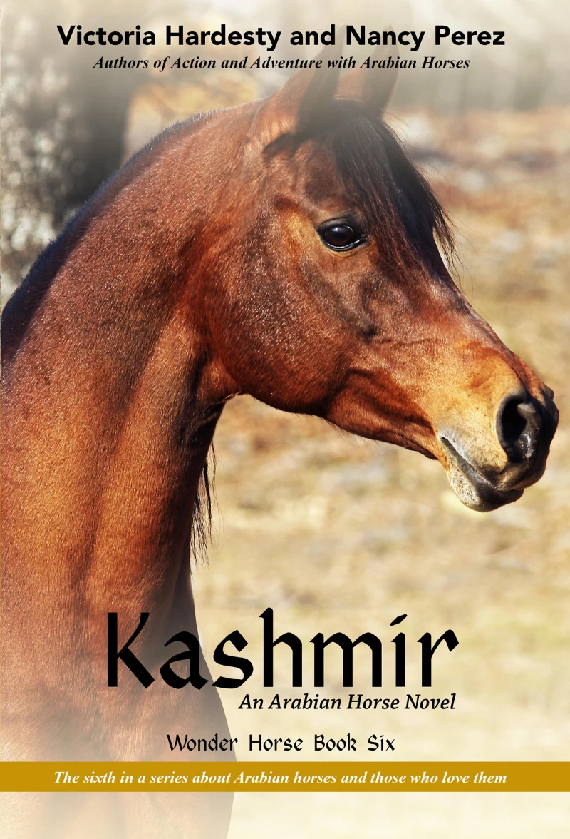 Portada: Kashmir