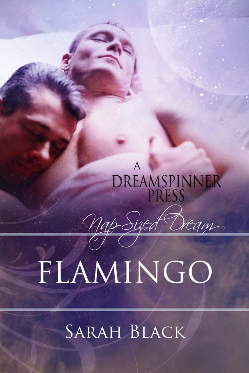 Portada: Flamingo