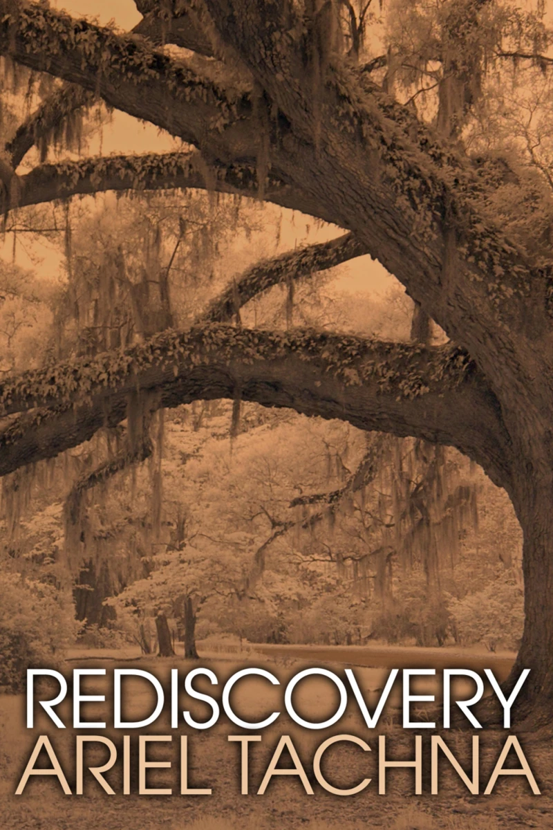 Portada: Rediscovery
