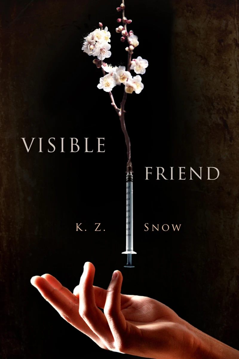 Portada: Visible Friend