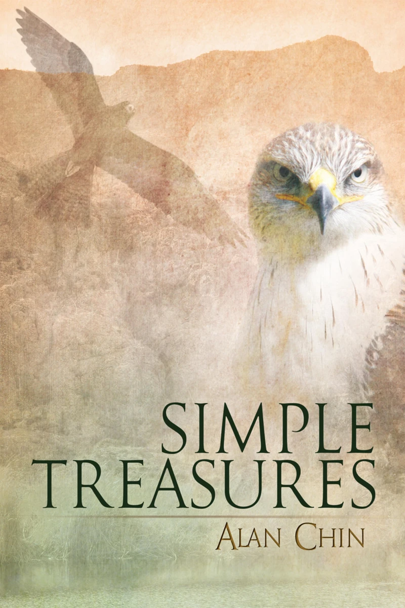 Portada: Simple Treasures