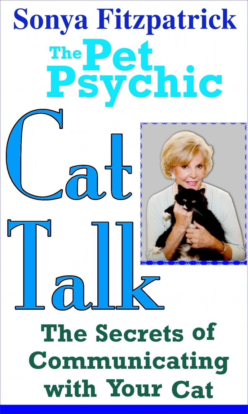 Portada: Cat Talk