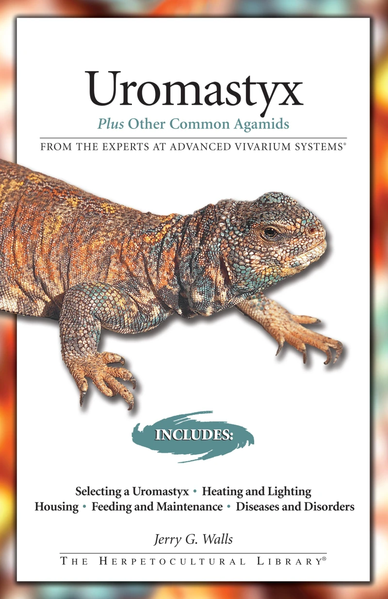 Portada: Uromastyx