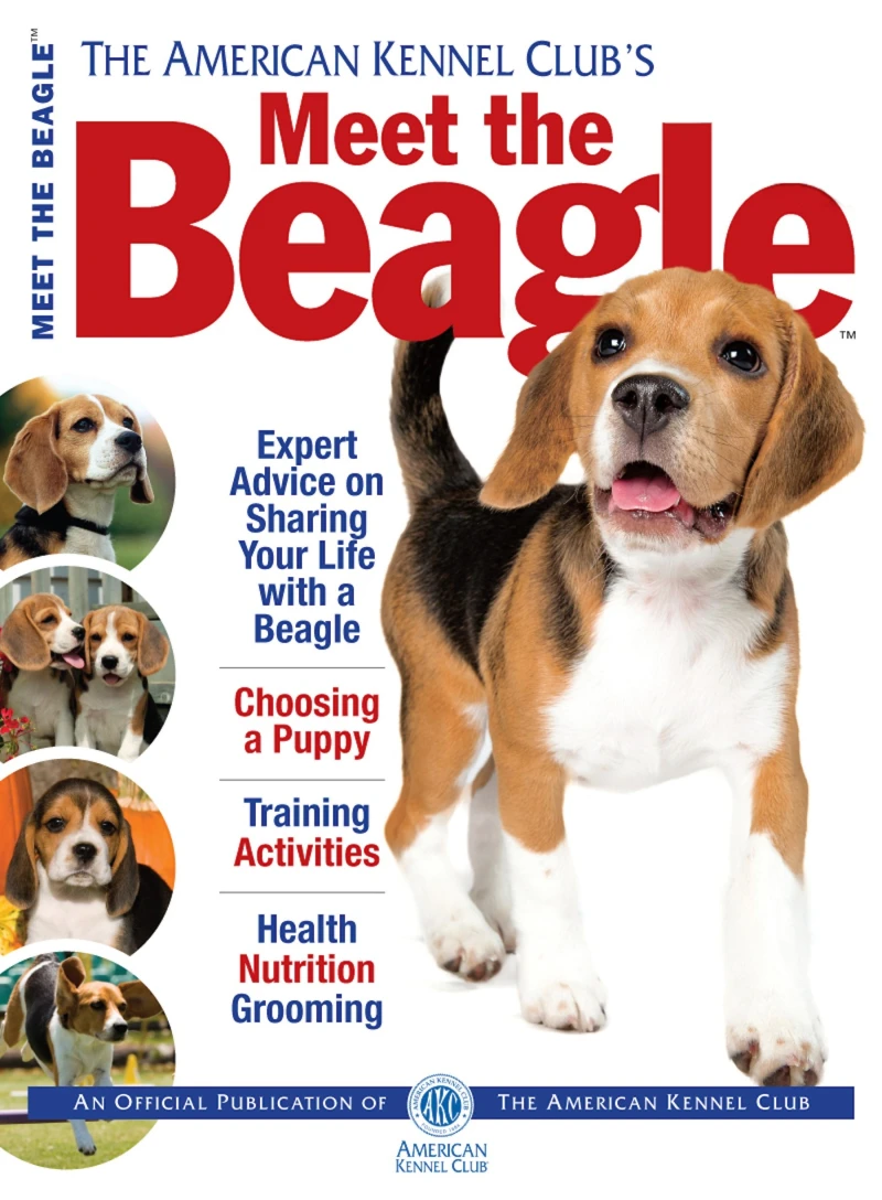 Portada: Meet the Beagle