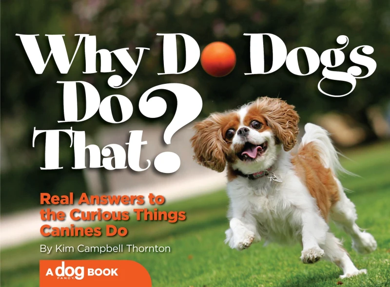 Portada: Why Do Dogs Do That?