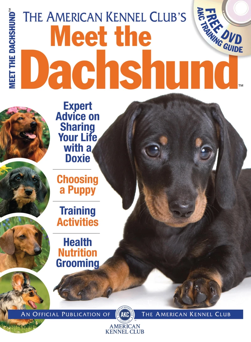 Portada: Meet the Dachshund