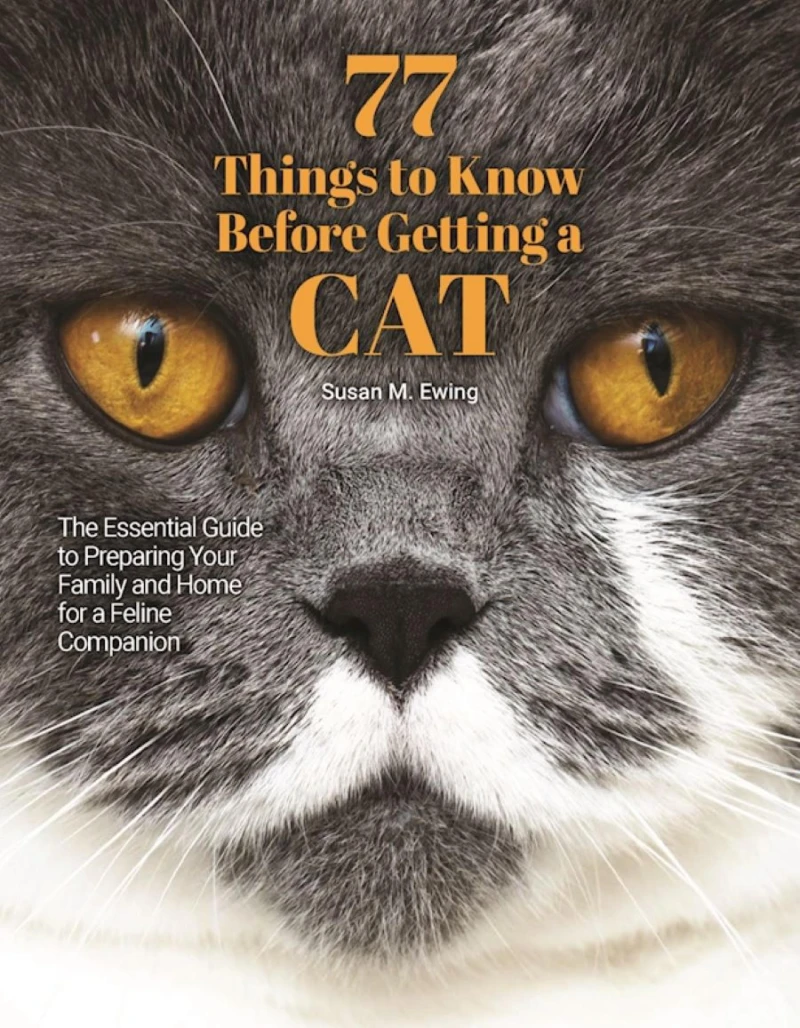 Portada: 77 Things to Know Before Getting a Cat