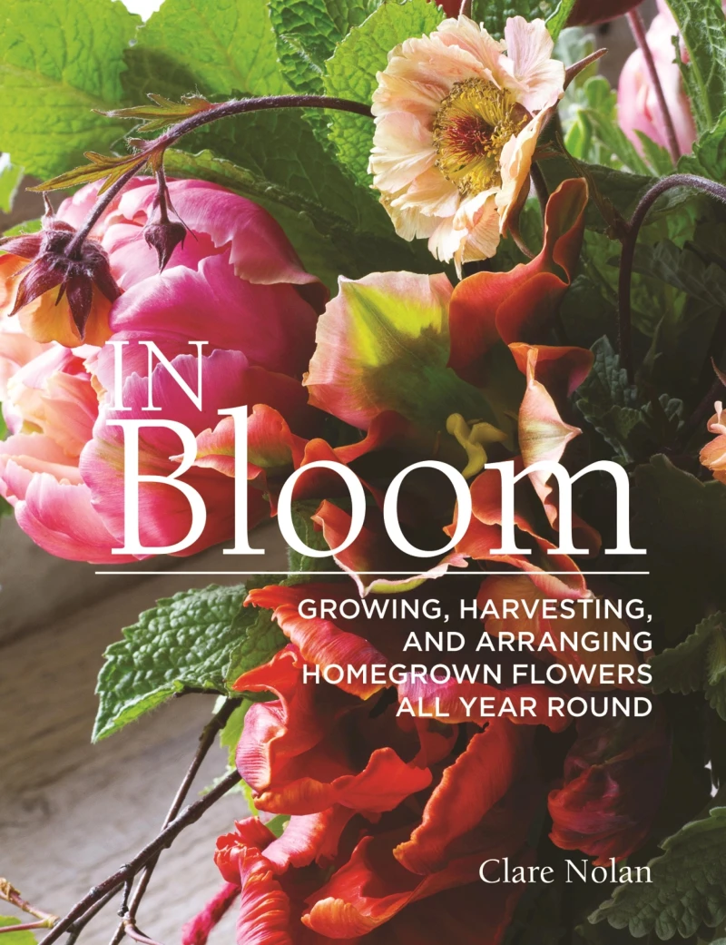 Portada: In Bloom