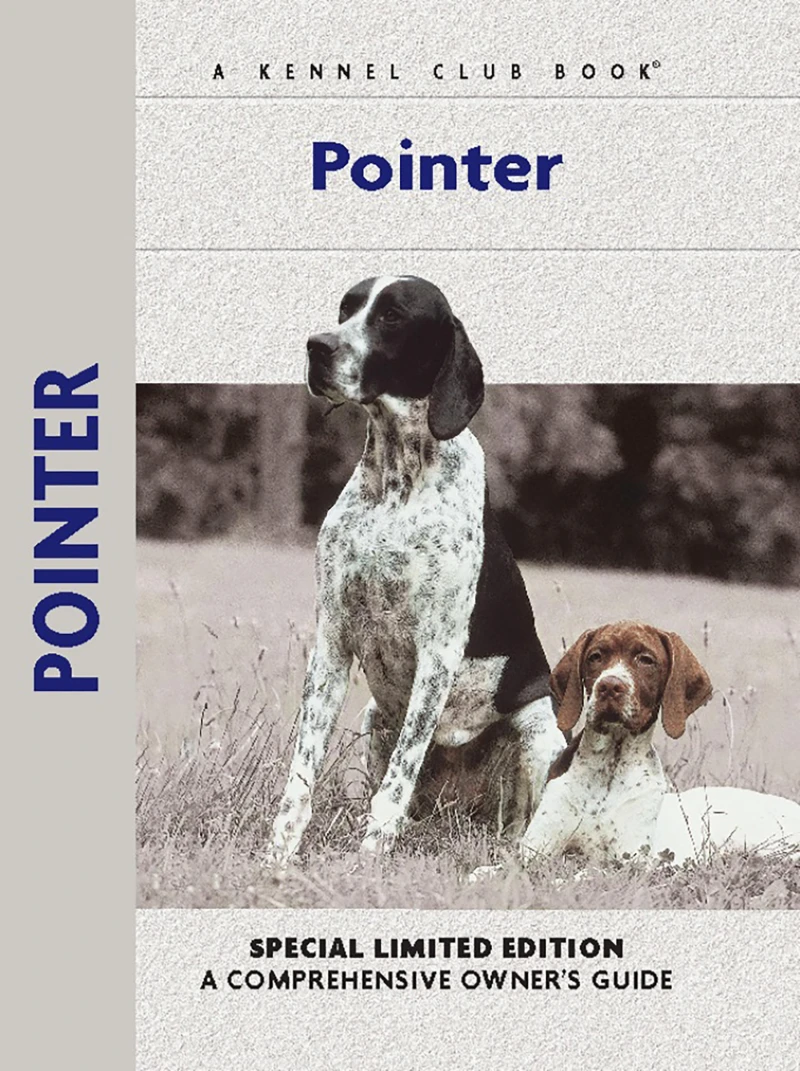 Portada: Pointer