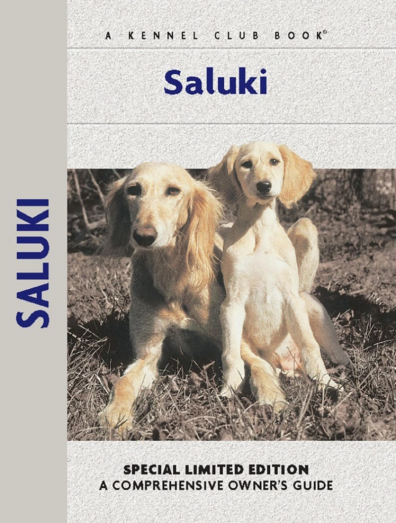 Portada: Saluki