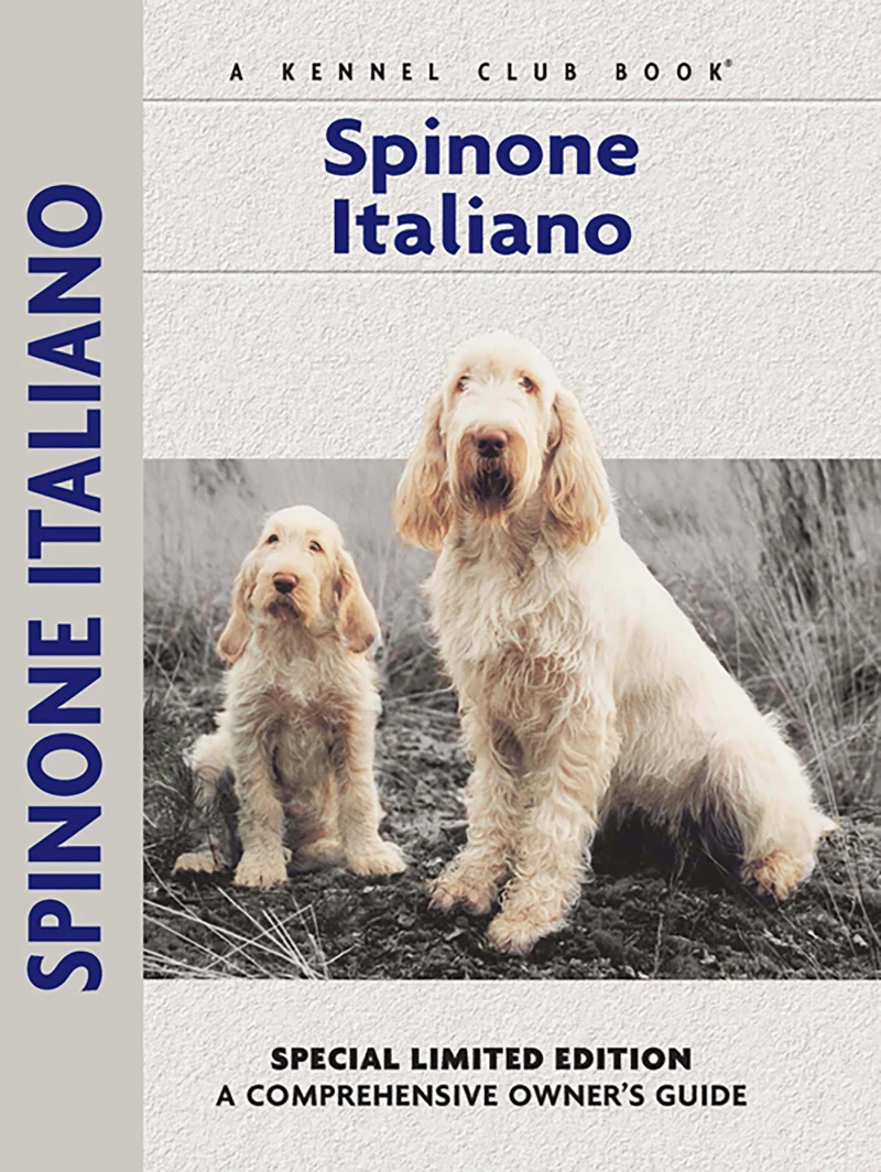 Portada: Spinoni Italiano