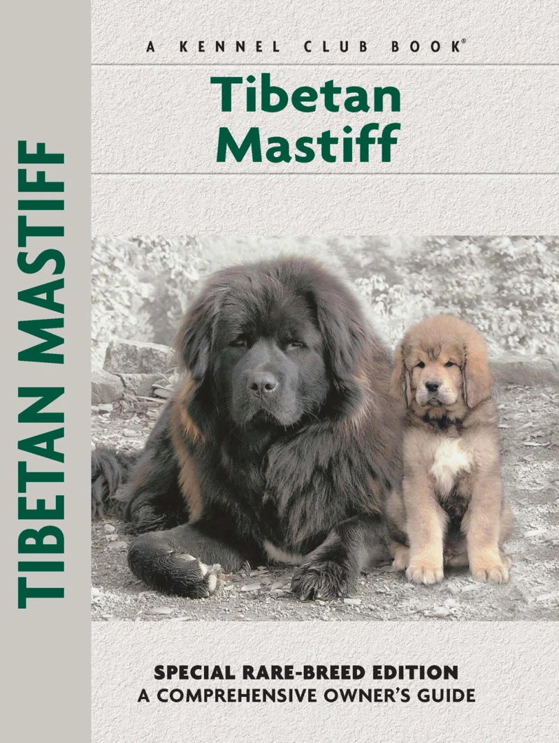 Portada: Tibetan Mastiff