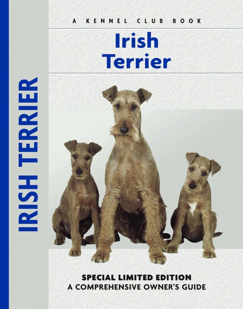 Portada: Irish Terrier