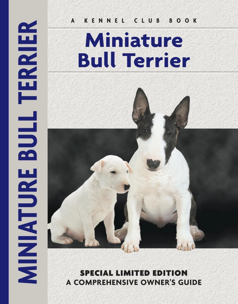 Portada: Miniature Bull Terrier