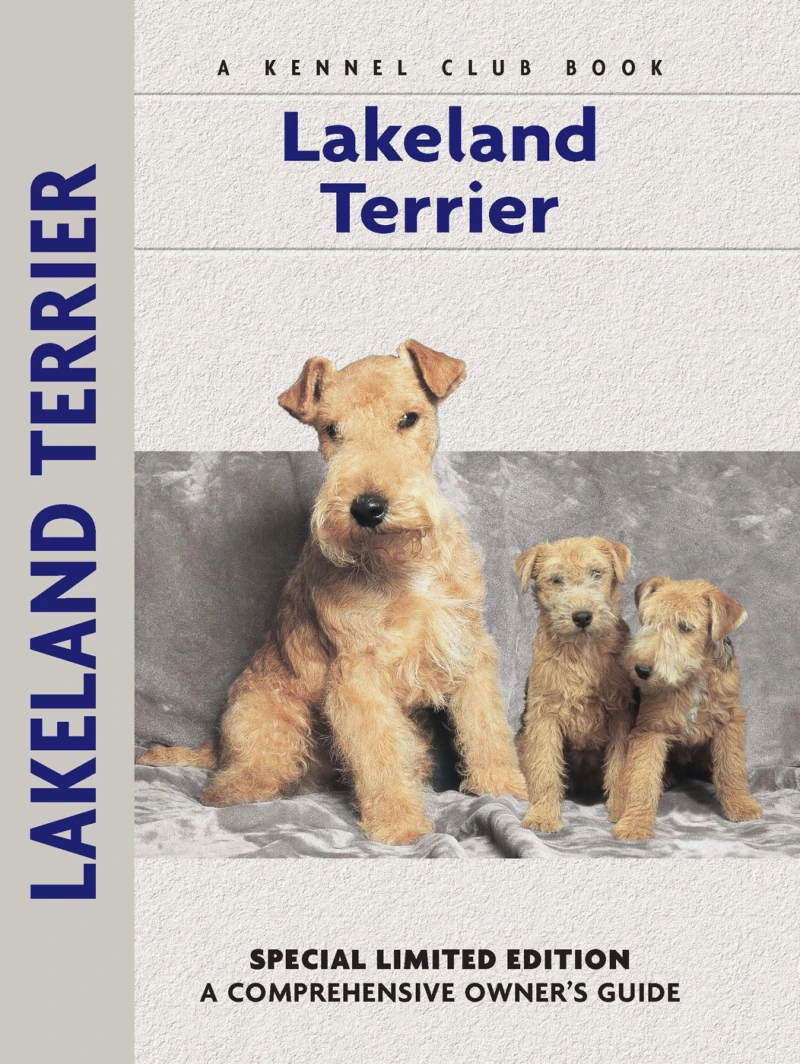 Portada: Lakeland Terrier