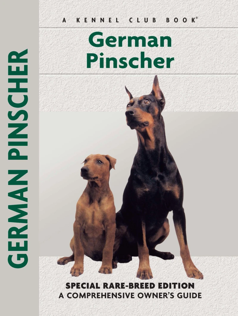 Portada: German Pinscher