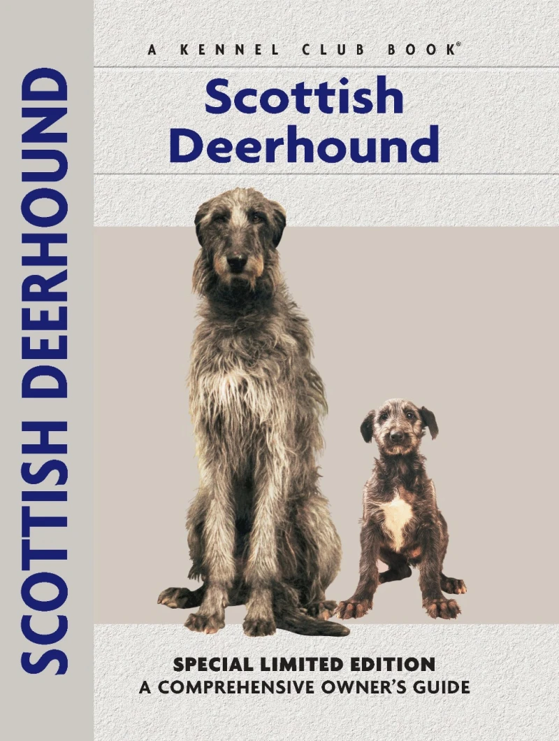 Portada: Scottish Deerhound