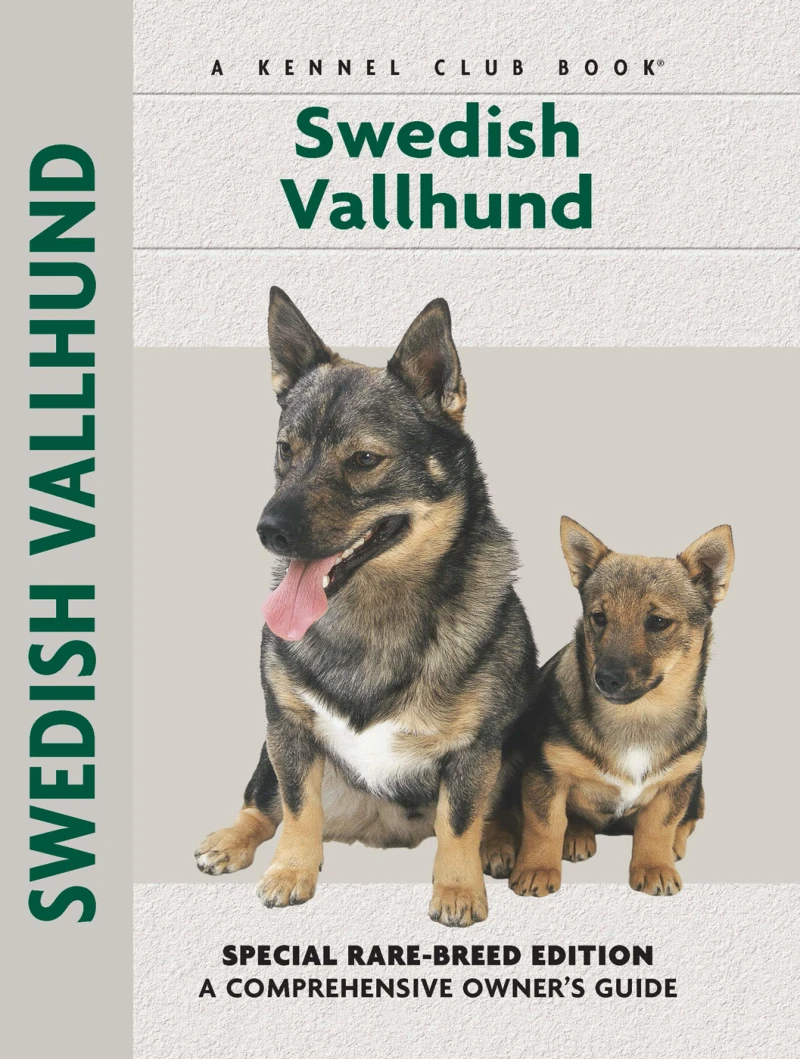 Portada: Swedish Vallhund