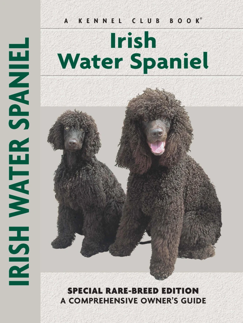 Portada: Irish Water Spaniel