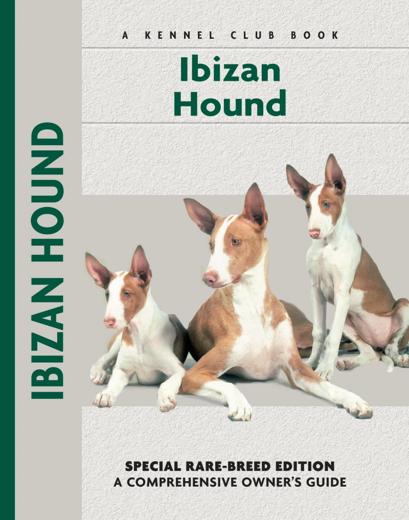 Portada: Ibizan Hound