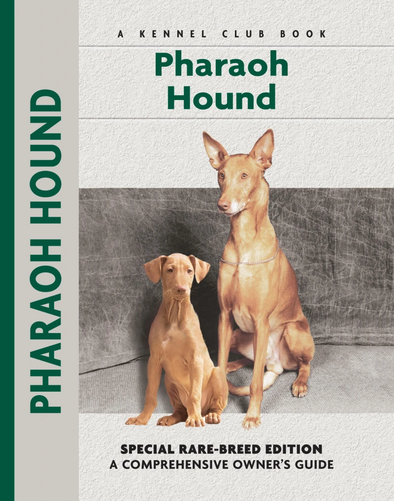 Portada: Pharaoh Hound