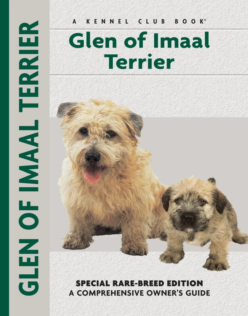 Portada: Glen of Imaal Terrier