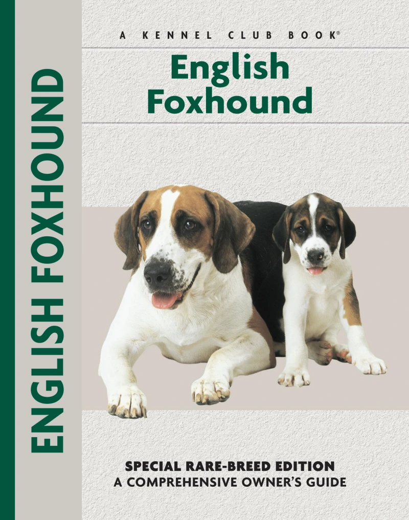 Portada: English Foxhound