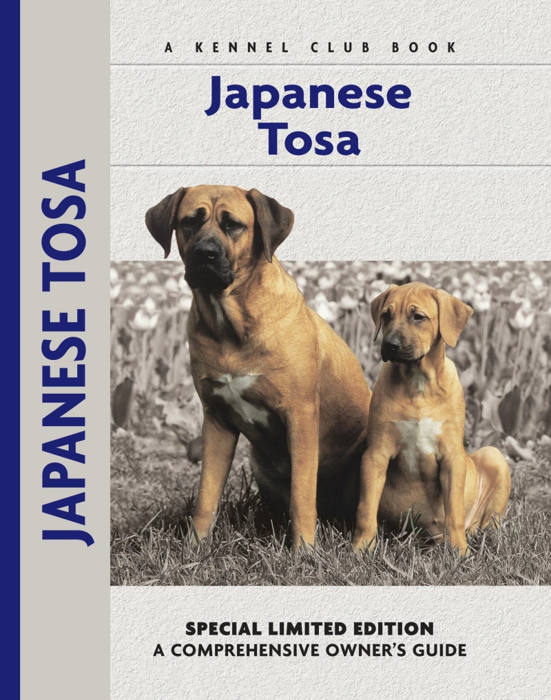 Portada: Japanese Tosa