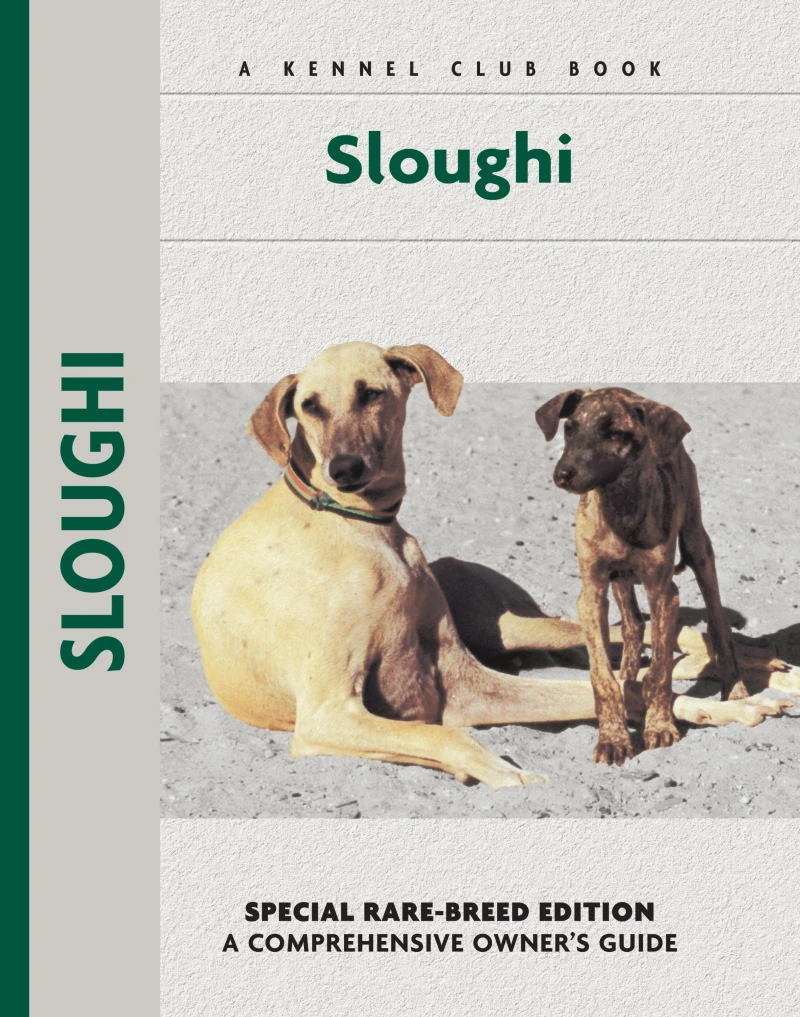 Portada: Sloughi