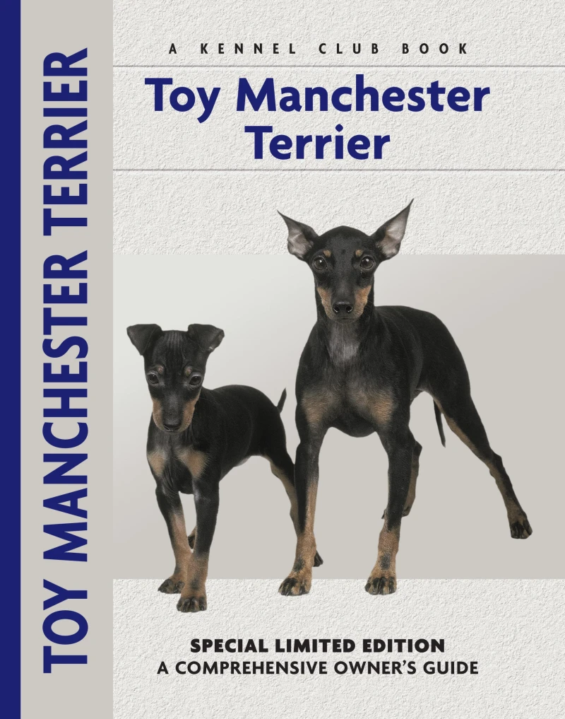 Portada: Toy Manchester Terrier