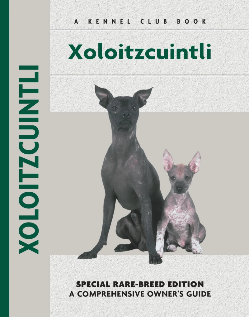 Portada: Xoloitzcuintli