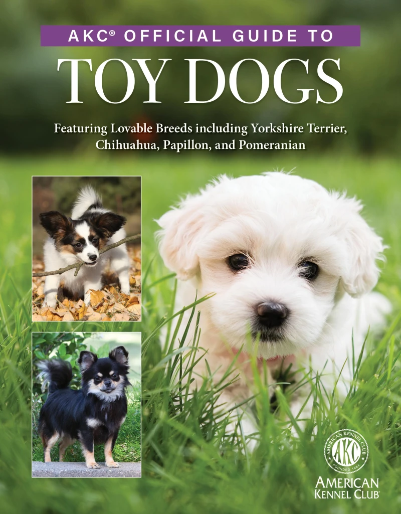 Portada: AKC Official Guide to Toy Dogs