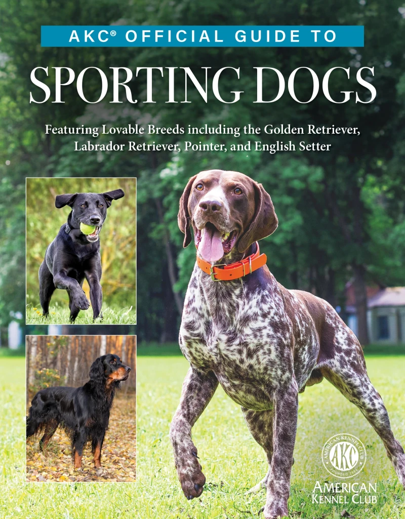 Portada: AKC Official Guide to Sporting Dogs