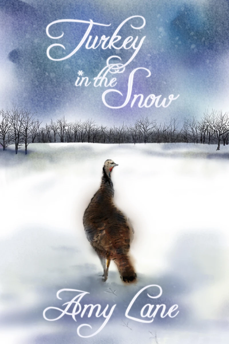 Portada: Turkey in the Snow