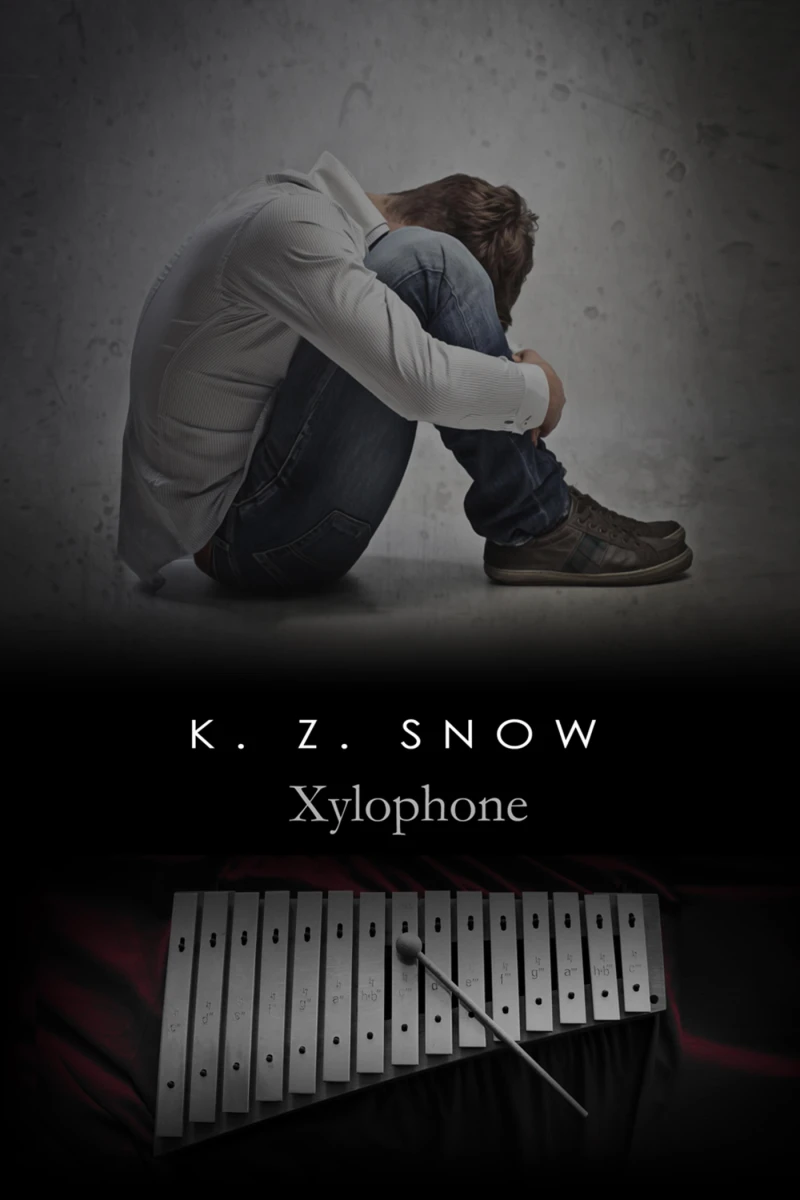 Portada: Xylophone