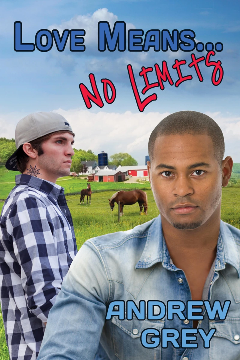 Portada: Love Means... No Limits