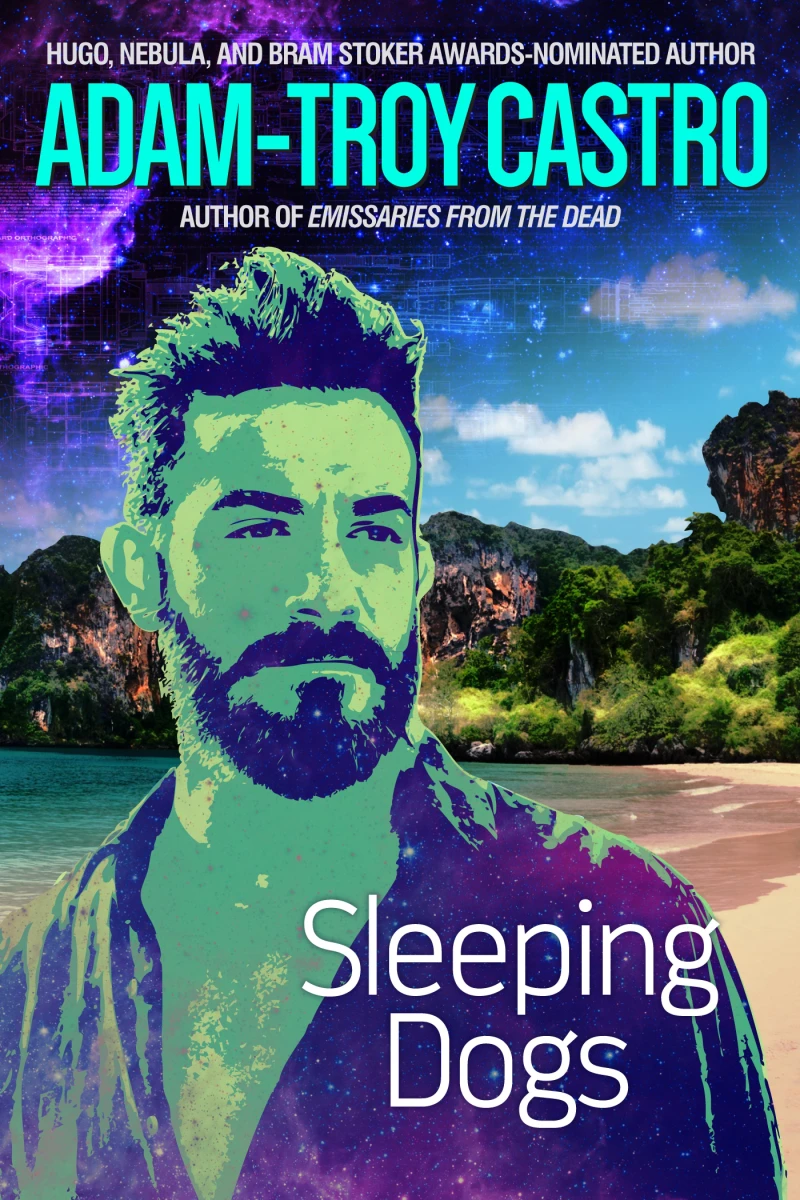 Portada: Sleeping Dogs