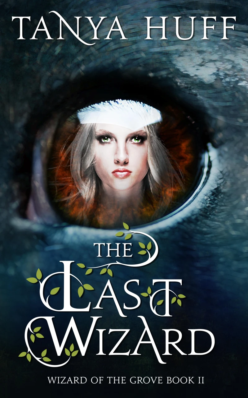 Portada: The Last Wizard
