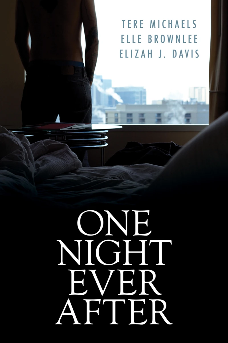 Portada: One Night Ever After