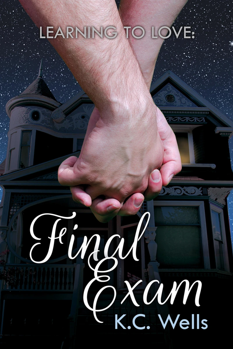 Portada: Learning to Love: Final Exam