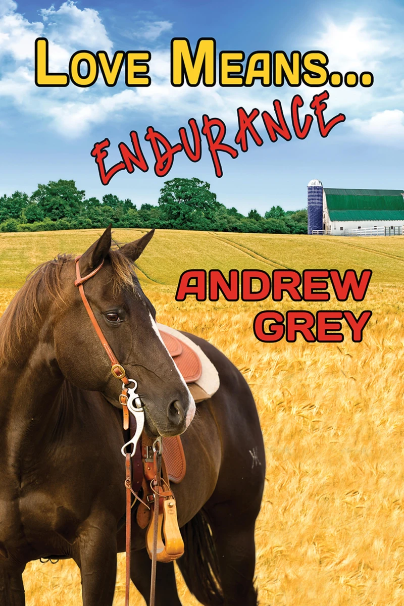 Portada: Love Means... Endurance