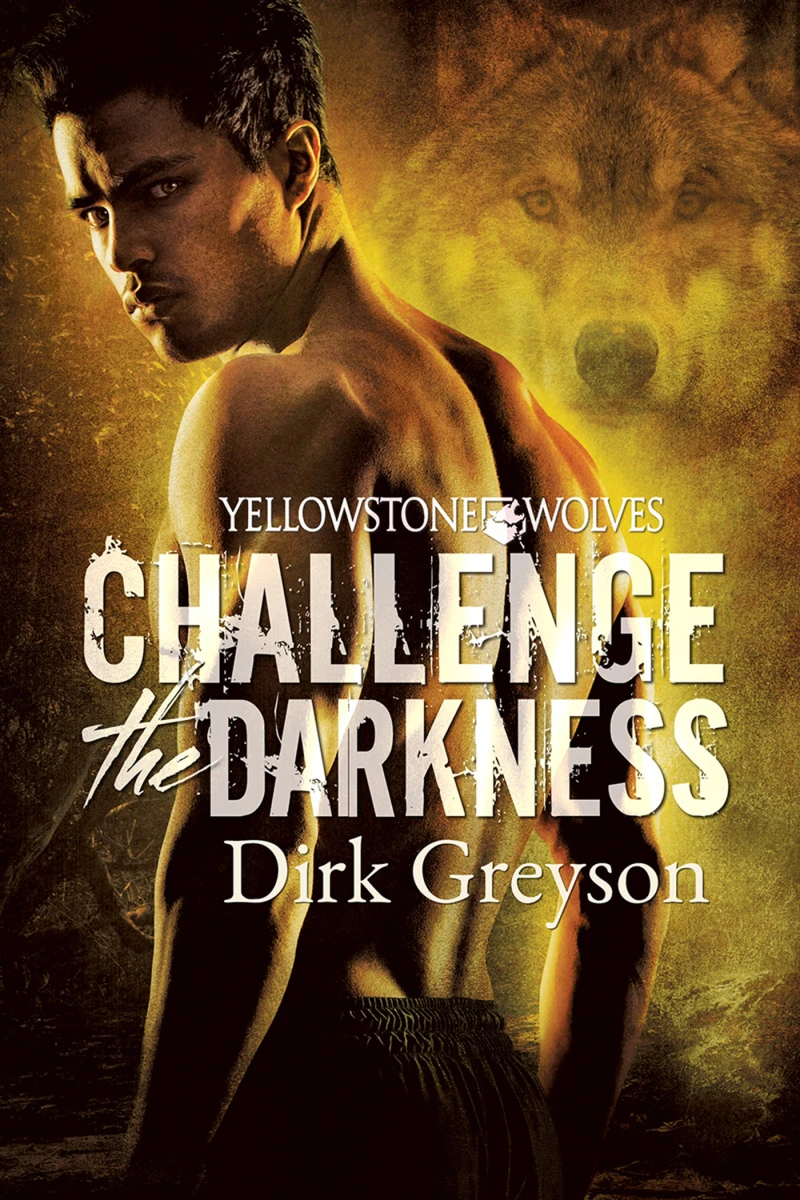 Portada: Challenge the Darkness